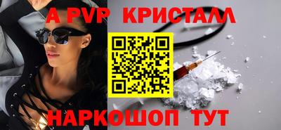 гашик Моздок