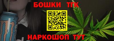 гашик Моздок