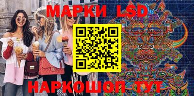 шишки Можга