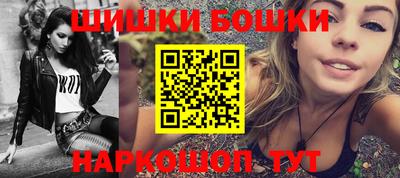 гашик Моздок