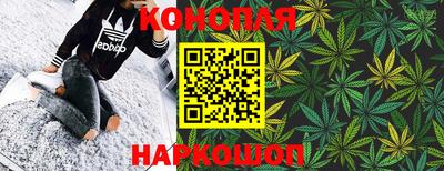 шишки Можга