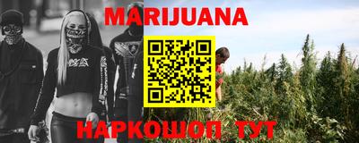 шишки Можга