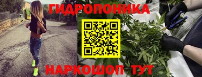 гашик Моздок