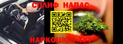 гашик Моздок