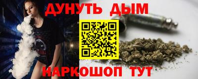 гашик Моздок