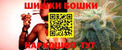 гашик Моздок