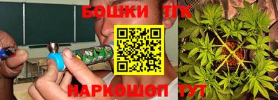 шишки Можга