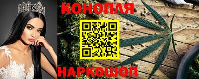 стаф Можайск