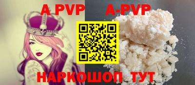 гашик Моздок