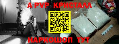 гашик Моздок