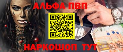 гашик Моздок